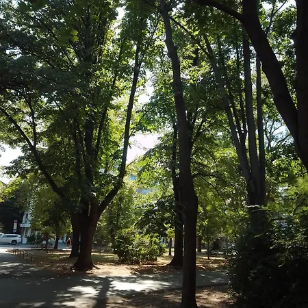 Séjour chez l'habitant Steady - Guests Varna