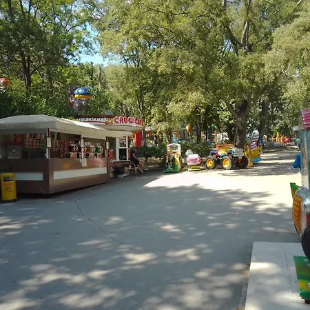 Steady - Guests Varna