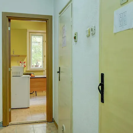 Steady - Guests Varna