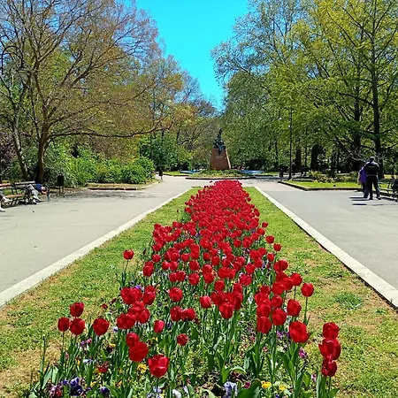 Séjour chez l'habitant Steady - Guests Varna