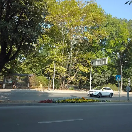 Steady - Guests Varna