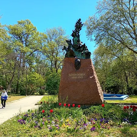 Steady - Guests Habitación en casa particular *