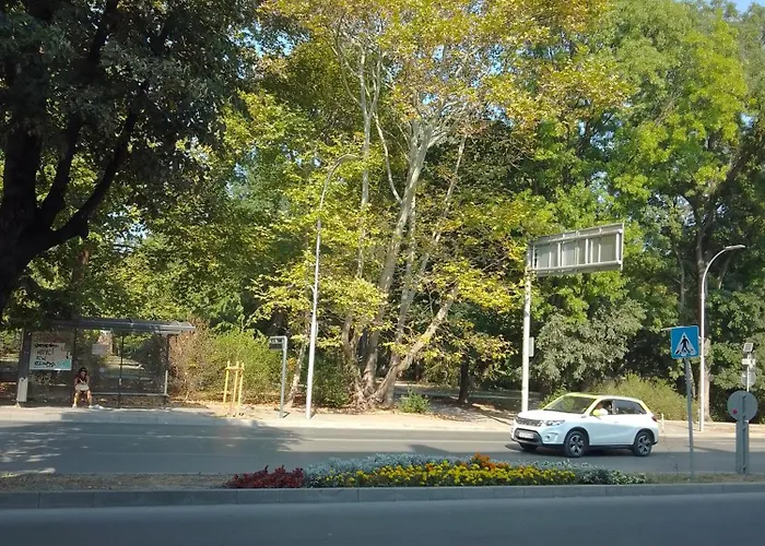 Steady - Guests Várna