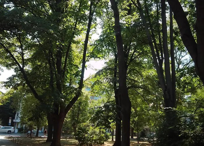 Homestay szállás Steady - Guests Várna