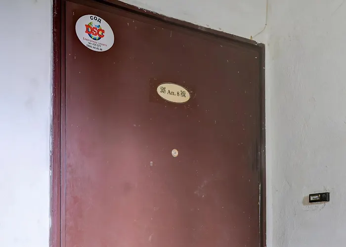 Steady - Guests Homestay szállás