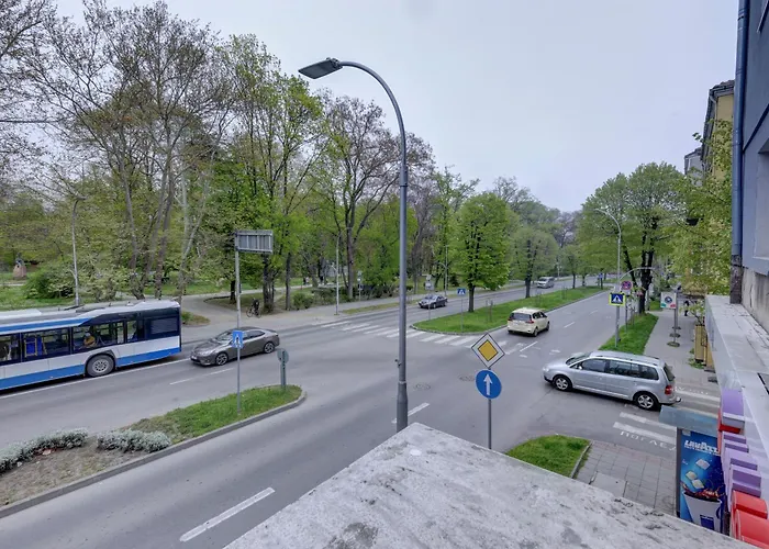 Homestay Steady - Guests