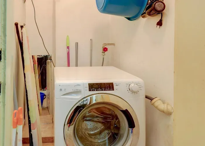 Steady - Guests * Várna