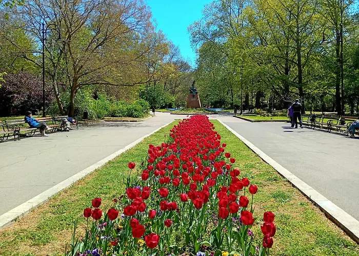 Homestay Steady - Guests Varna