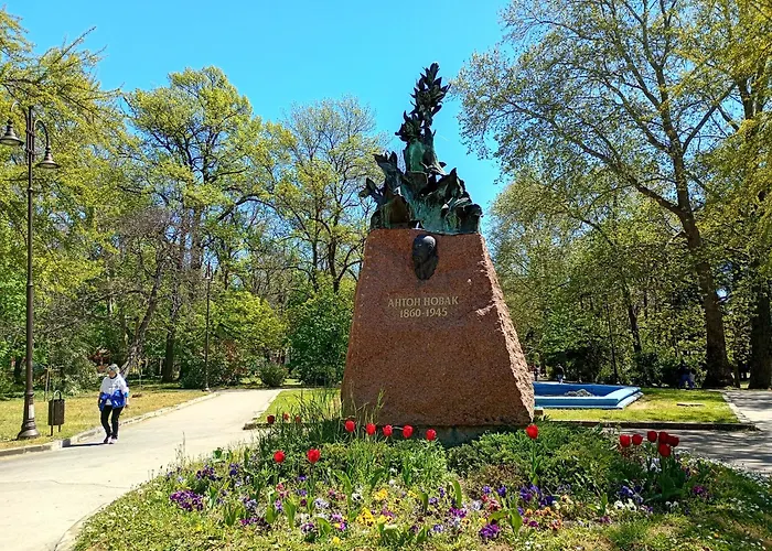 Steady - Guests Homestay szállás *